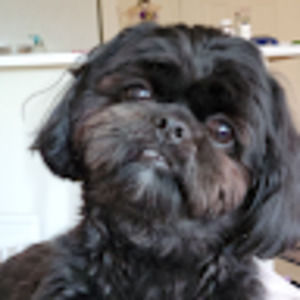 Meet your Posher, Marlene